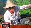 汕头今日视线2013年7月9日