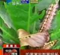 汕头今日视线2013年7月19日