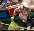 汕头今日视线2013年8月5日