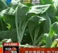 汕头今日视线2013年8月12日
