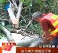 汕头今日视线2013年9月26日