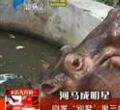 汕头今日视线2013年10月5日