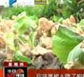 汕头今日视线2013年10月10日