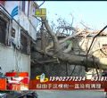 汕头今日视线2013年10月11日