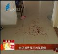 汕头今日视线2013年11月5日