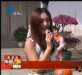汕头今日视线2013年11月7日