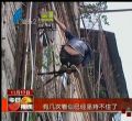 汕头今日视线2013年11月17日