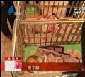 汕头今日视线2013年12月5日