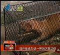 汕头今日视线2013年12月17日
