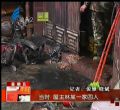 汕头今日视线2014年1月10日