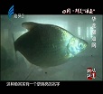汕头今日视线2014年2月3日