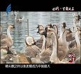 汕头今日视线2014年2月7日