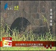 汕头今日视线2014年2月20日