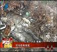 汕头今日视线2014年2月25日