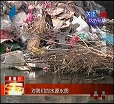 汕头今日视线2014年3月2日