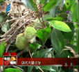 汕头今日视线2014年6月23日