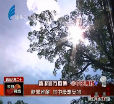 汕头今日视线2014年7月16日