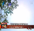 汕头今日视线2014年7月23日