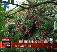 汕头今日视线2014年7月8日